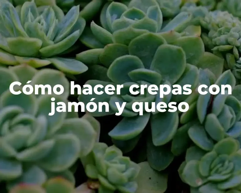 Cómo hacer crepas con jamón y queso