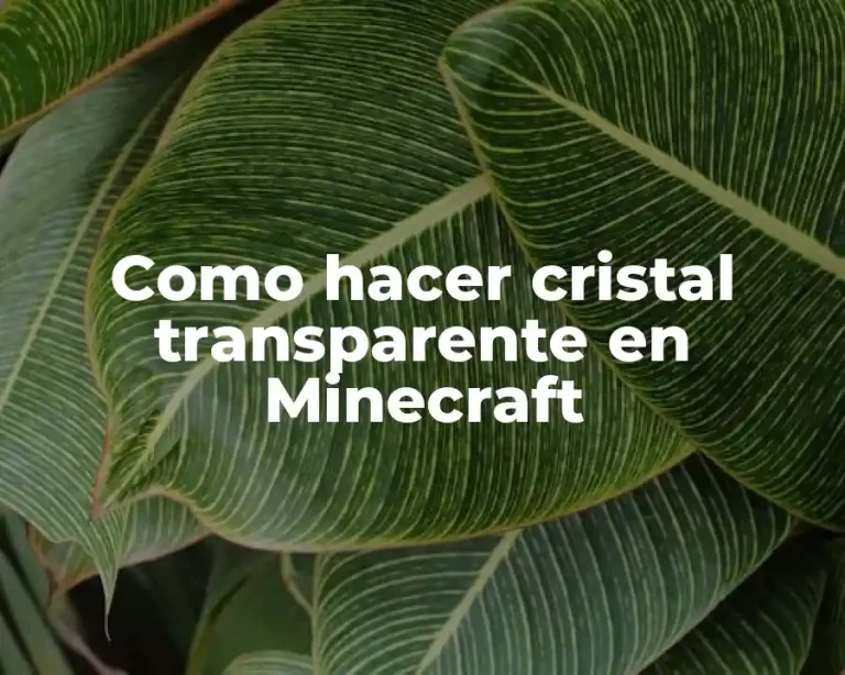 Como hacer cristal transparente en Minecraft