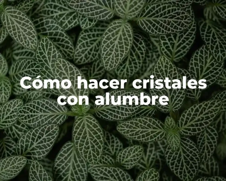 Cómo hacer cristales con alumbre