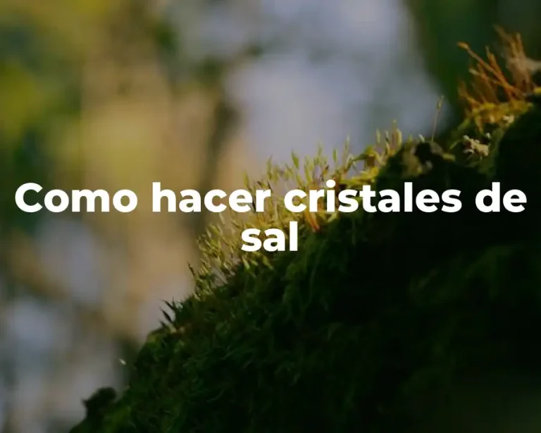 Como hacer cristales de sal