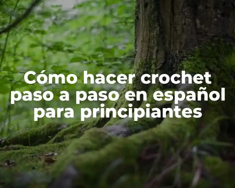 Cómo hacer crochet paso a paso en español para principiantes