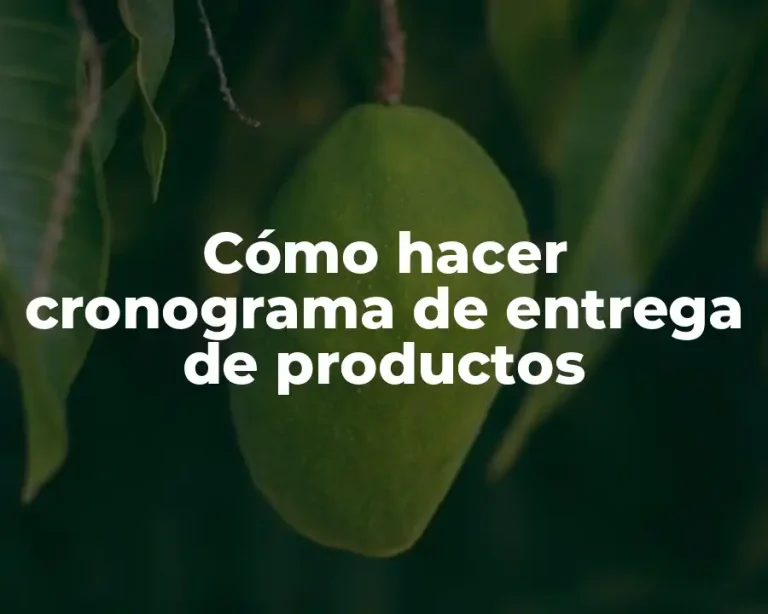 Cómo hacer cronograma de entrega de productos