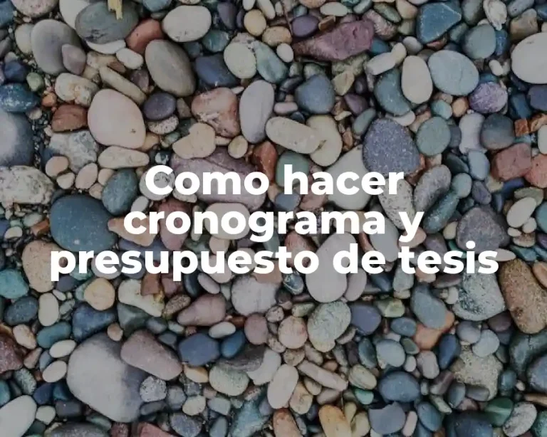 Como hacer cronograma y presupuesto de tesis