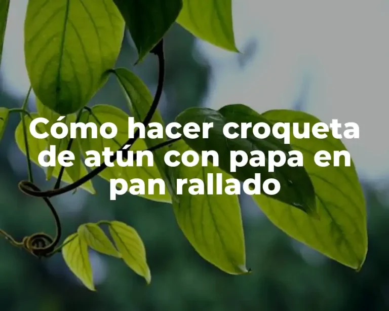 Cómo hacer croqueta de atún con papa en pan rallado