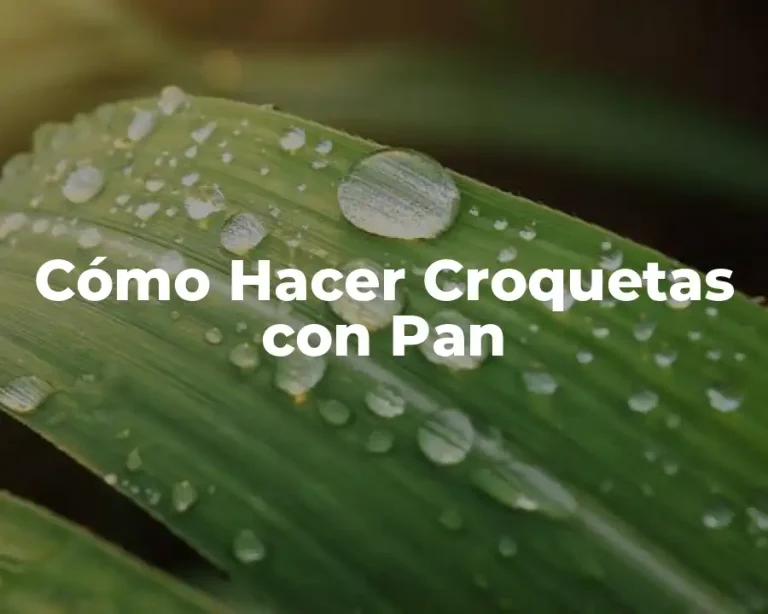 Cómo Hacer Croquetas con Pan