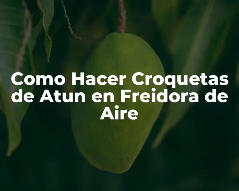 Como Hacer Croquetas de Atun en Freidora de Aire