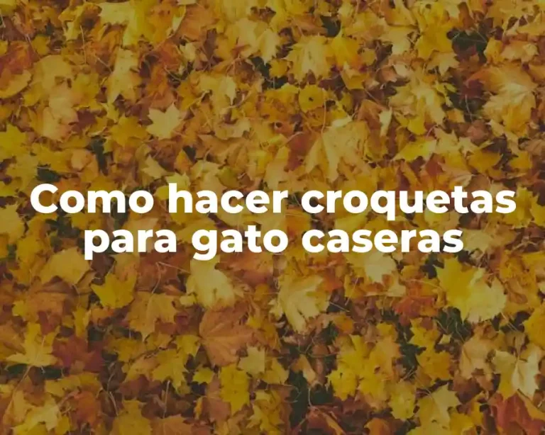 Como hacer croquetas para gato caseras