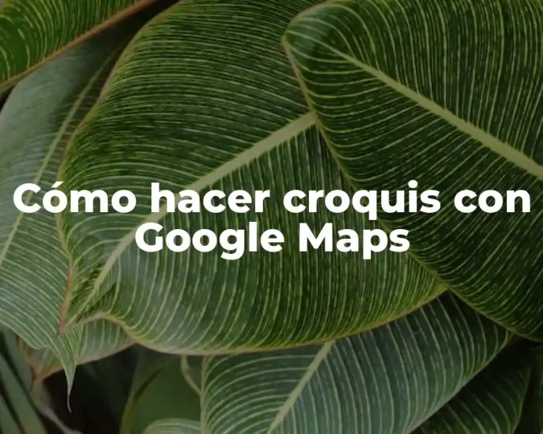 Cómo hacer croquis con Google Maps