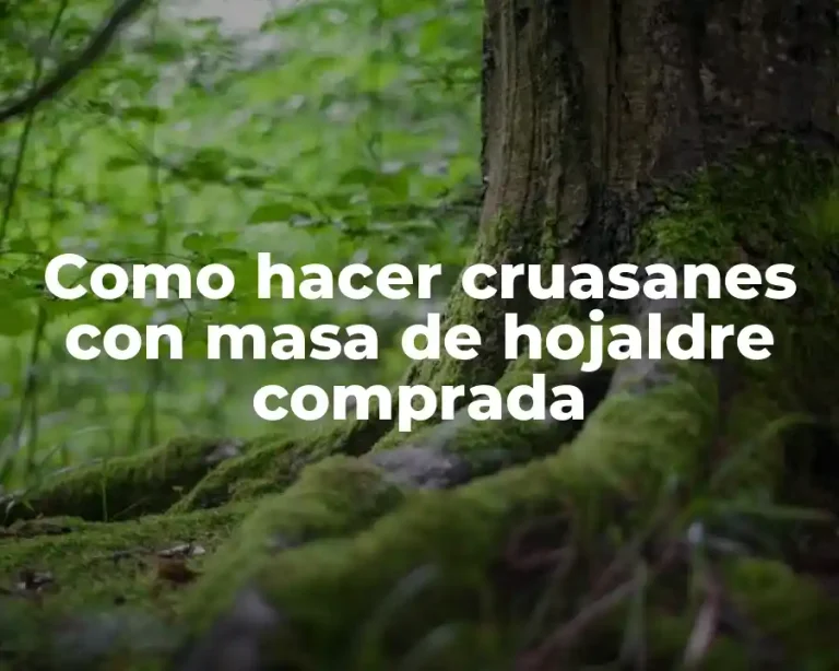 Como hacer cruasanes con masa de hojaldre comprada