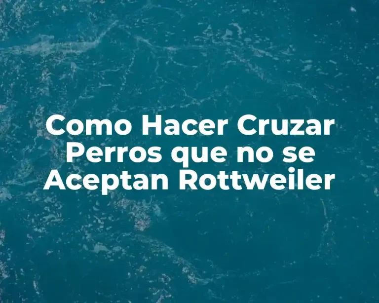 Como Hacer Cruzar Perros que no se Aceptan Rottweiler