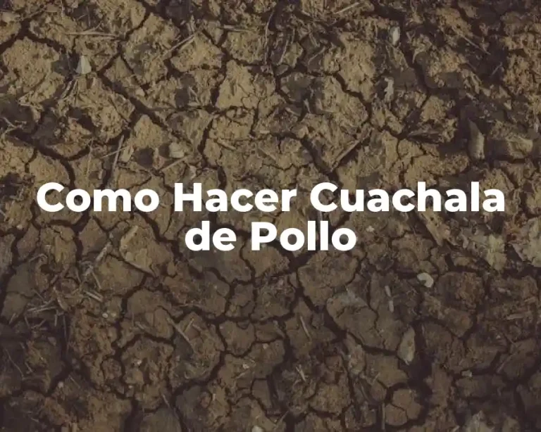 Como Hacer Cuachala de Pollo