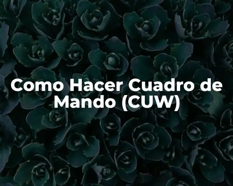 Como Hacer Cuadro de Mando (CUW)