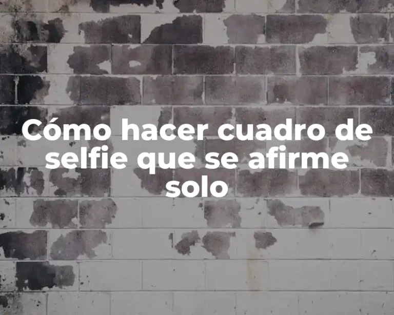 Cómo hacer cuadro de selfie que se afirme solo