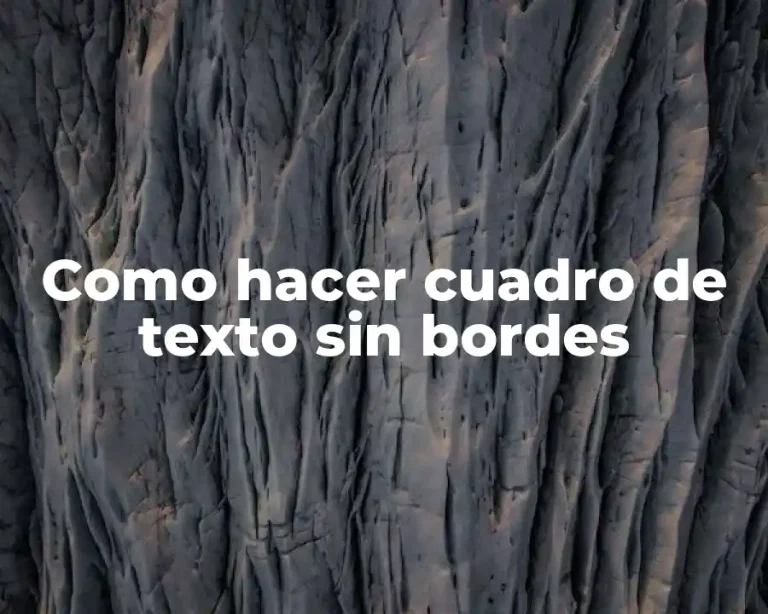 Como hacer cuadro de texto sin bordes
