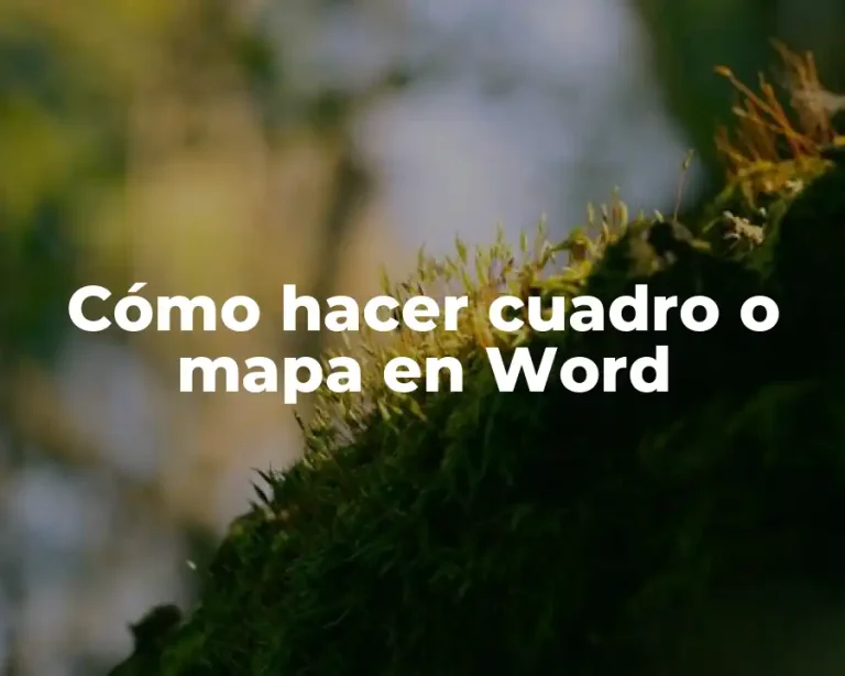 Cómo hacer cuadro o mapa en Word