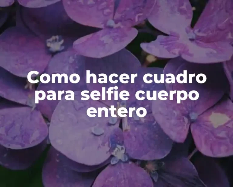 Como hacer cuadro para selfie cuerpo entero
