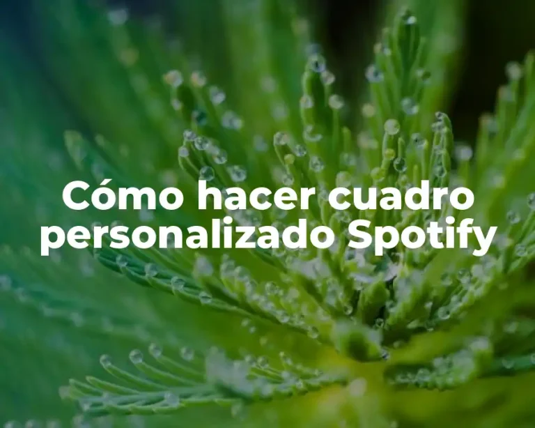 Cómo hacer cuadro personalizado Spotify