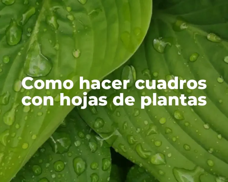 Como hacer cuadros con hojas de plantas
