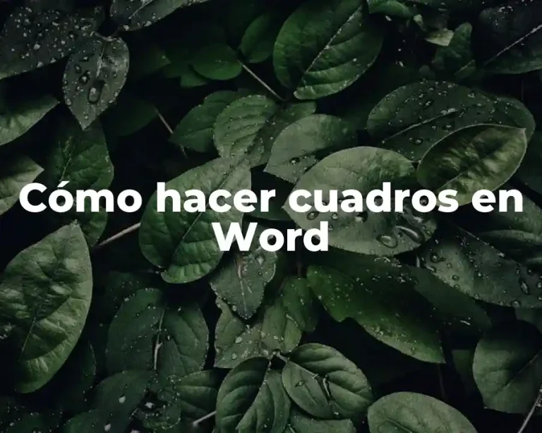Cómo hacer cuadros en Word