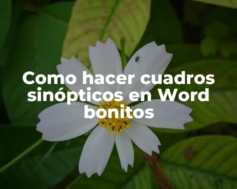 Como hacer cuadros sinópticos en Word bonitos