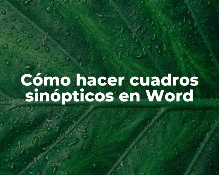 Cómo hacer cuadros sinópticos en Word