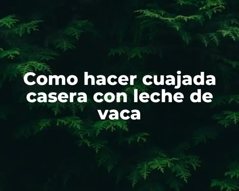Como hacer cuajada casera con leche de vaca