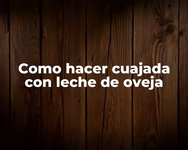 Como hacer cuajada con leche de oveja
