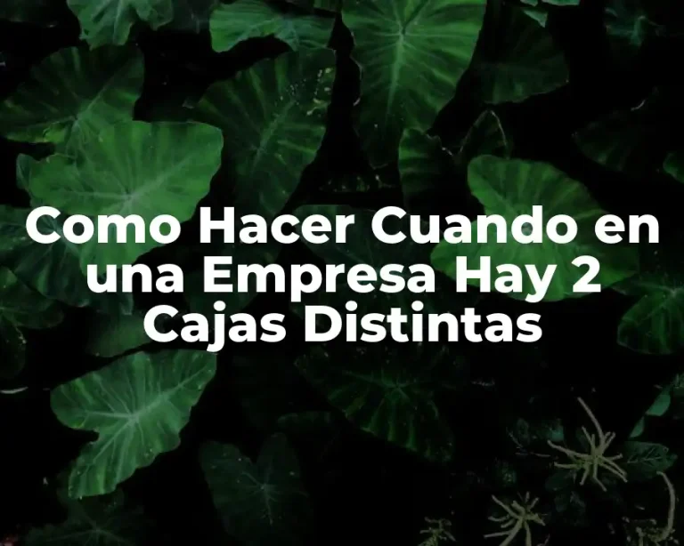 Como Hacer Cuando en una Empresa Hay 2 Cajas Distintas