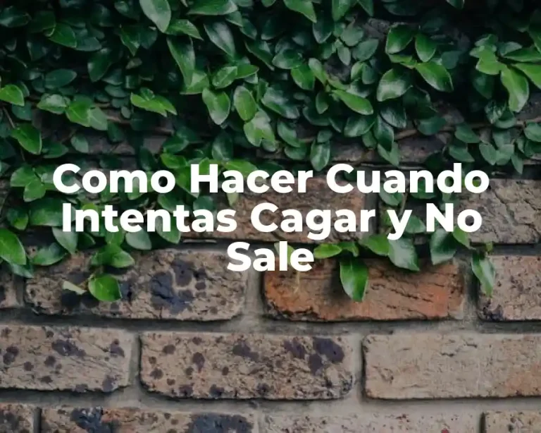 Como Hacer Cuando Intentas Cagar y No Sale