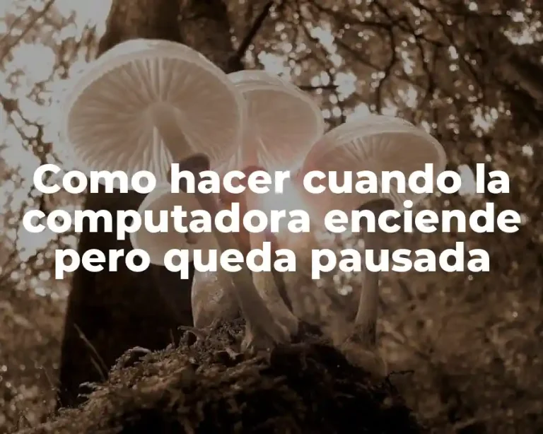 Como hacer cuando la computadora enciende pero queda pausada