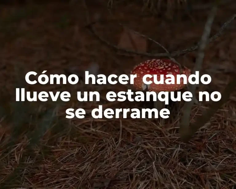 Cómo hacer cuando llueve un estanque no se derrame