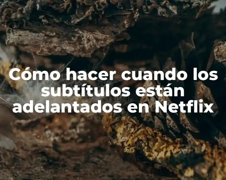 Cómo hacer cuando los subtítulos están adelantados en Netflix