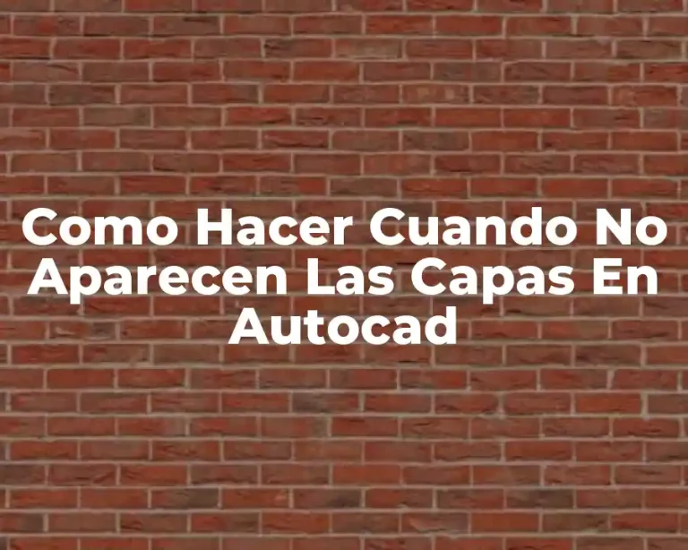 Como Hacer Cuando No Aparecen Las Capas En Autocad