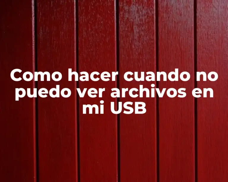 Como hacer cuando no puedo ver archivos en mi USB