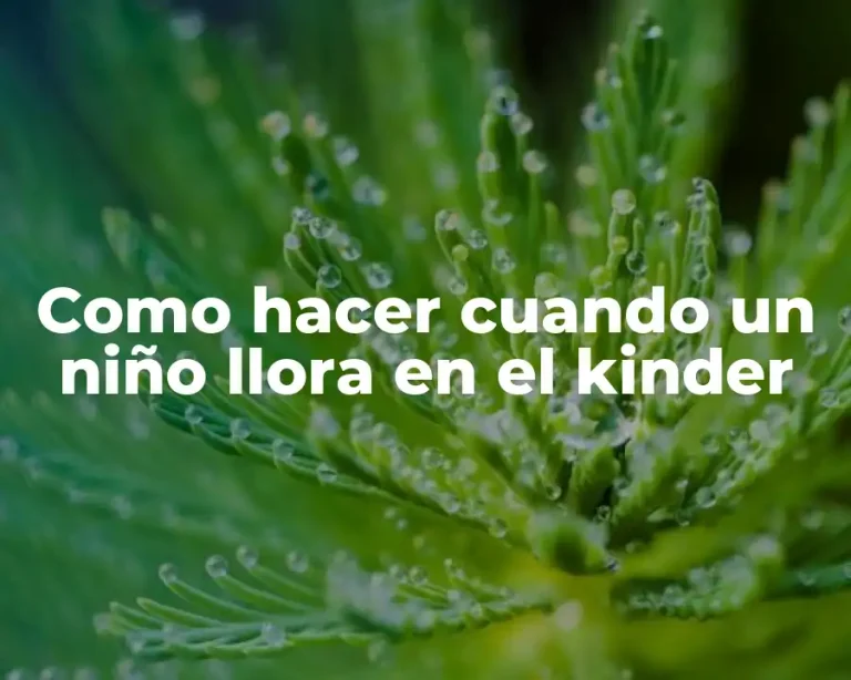 Como hacer cuando un niño llora en el kinder