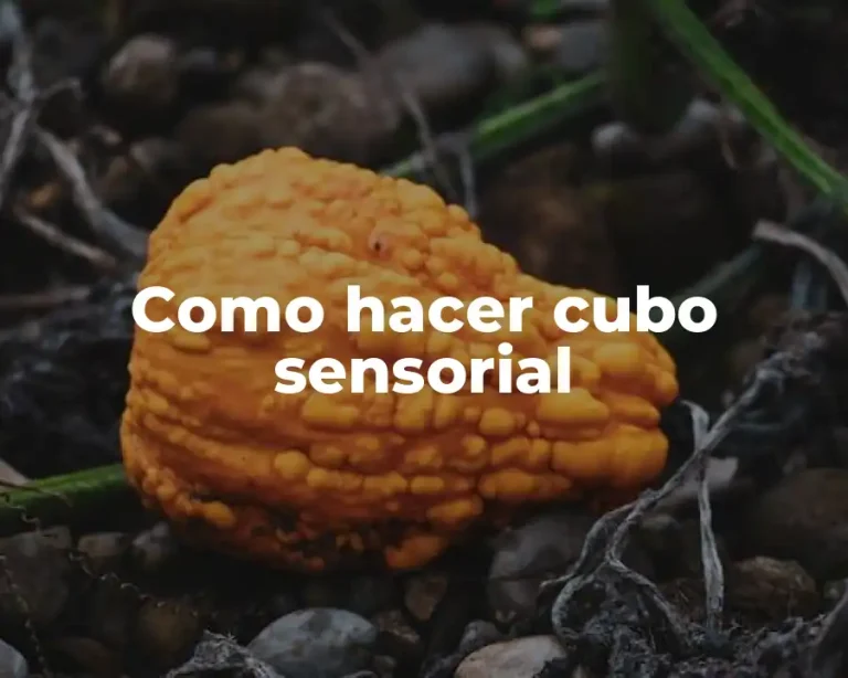 Como hacer cubo sensorial
