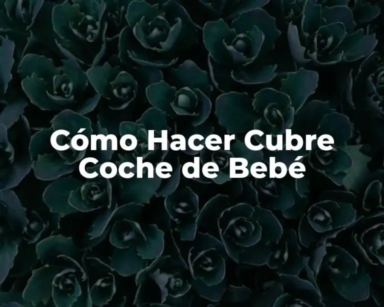 Cómo Hacer Cubre Coche de Bebé