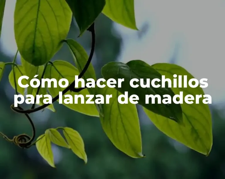 Cómo hacer cuchillos para lanzar de madera
