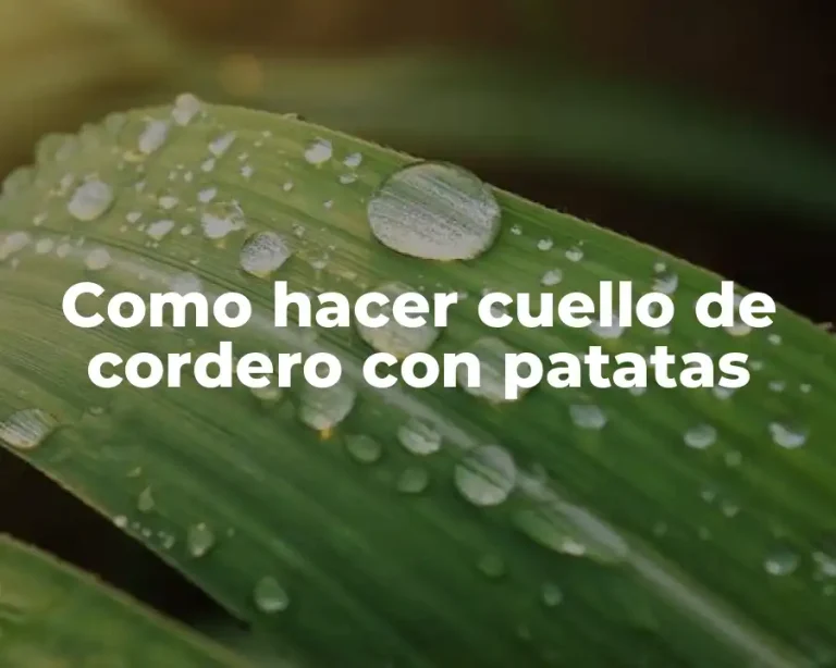 Como hacer cuello de cordero con patatas