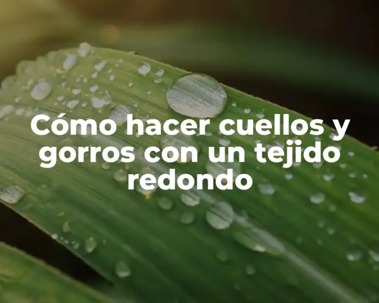 Cómo hacer cuellos y gorros con un tejido redondo
