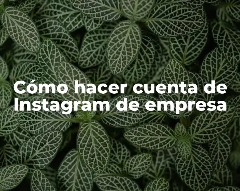 Cómo hacer cuenta de Instagram de empresa