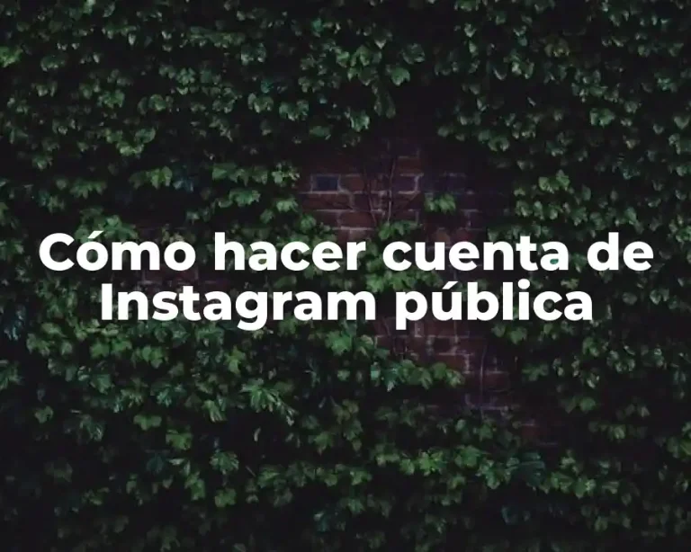 Cómo hacer cuenta de Instagram pública