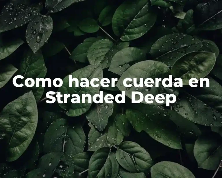 Como hacer cuerda en Stranded Deep