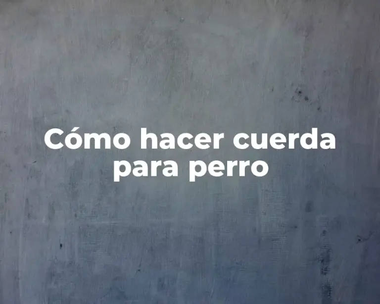Cómo hacer cuerda para perro