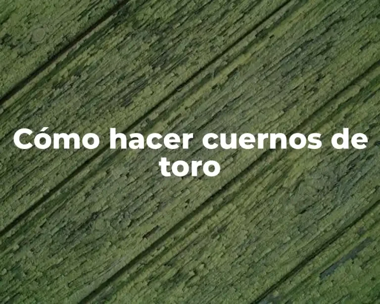 Cómo hacer cuernos de toro