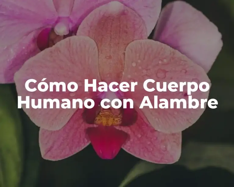 Cómo Hacer Cuerpo Humano con Alambre
