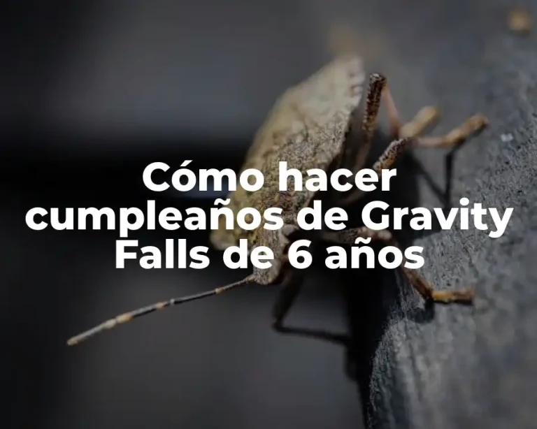 Cómo hacer cumpleaños de Gravity Falls de 6 años