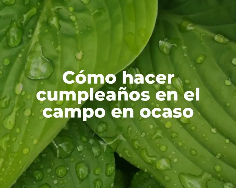 Cómo hacer cumpleaños en el campo en ocaso