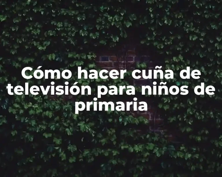 Cómo hacer cuña de televisión para niños de primaria