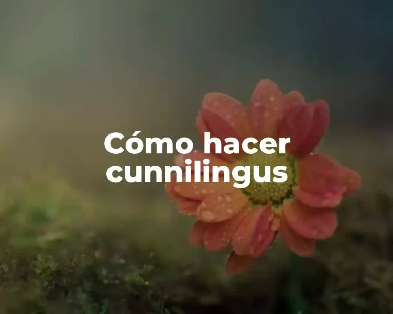 Cómo hacer cunnilingus